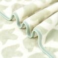 thumbnail image 3 of 2-Pieces Bath Towel Set For Bathroom, High Density Plush Fleece Ultra Absorbent, 30"x60", 3 of 5