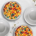 thumbnail image 2 of Set de 4 platos Hondos de Cerámica Eternal Living para Sopa o Cereal, 2 of 4