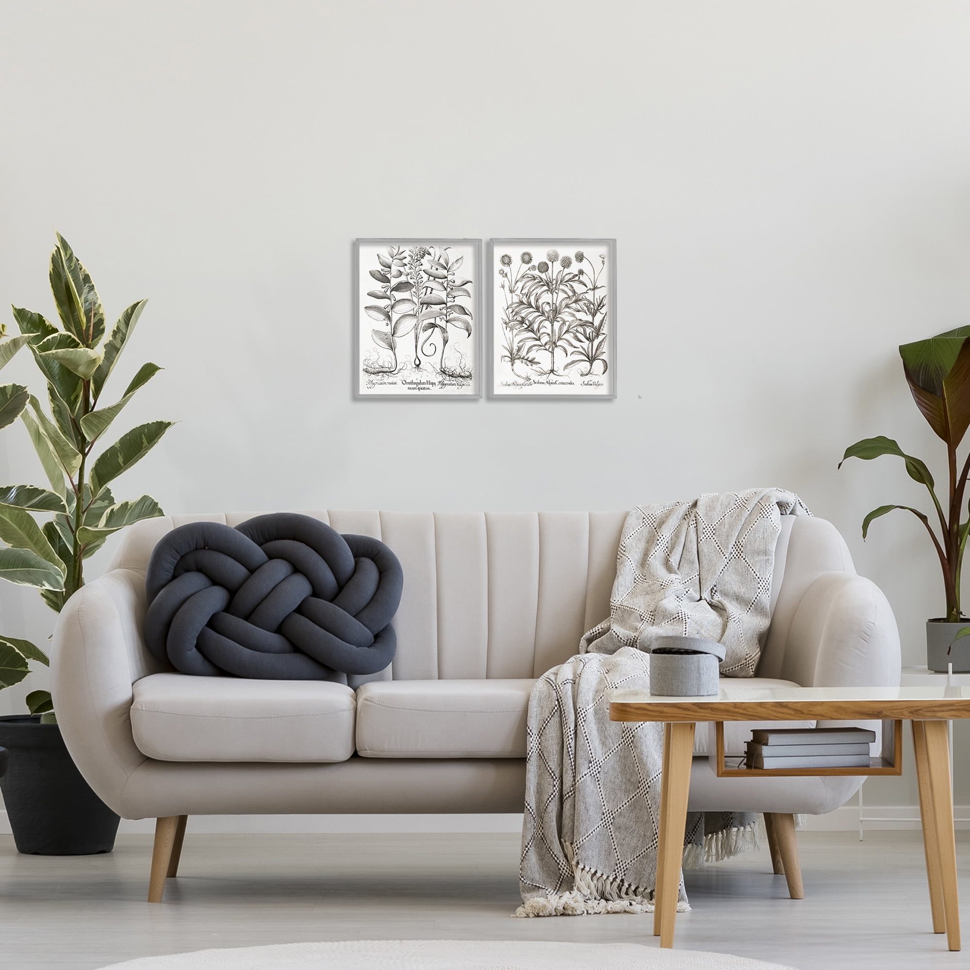Botanical Root & Plant Studies 2 Piece Gray Framed Giclee Art Set, design by Lettered and Lined