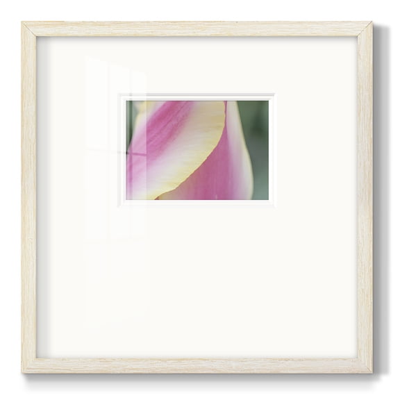 Delicate-Premium Framed Print