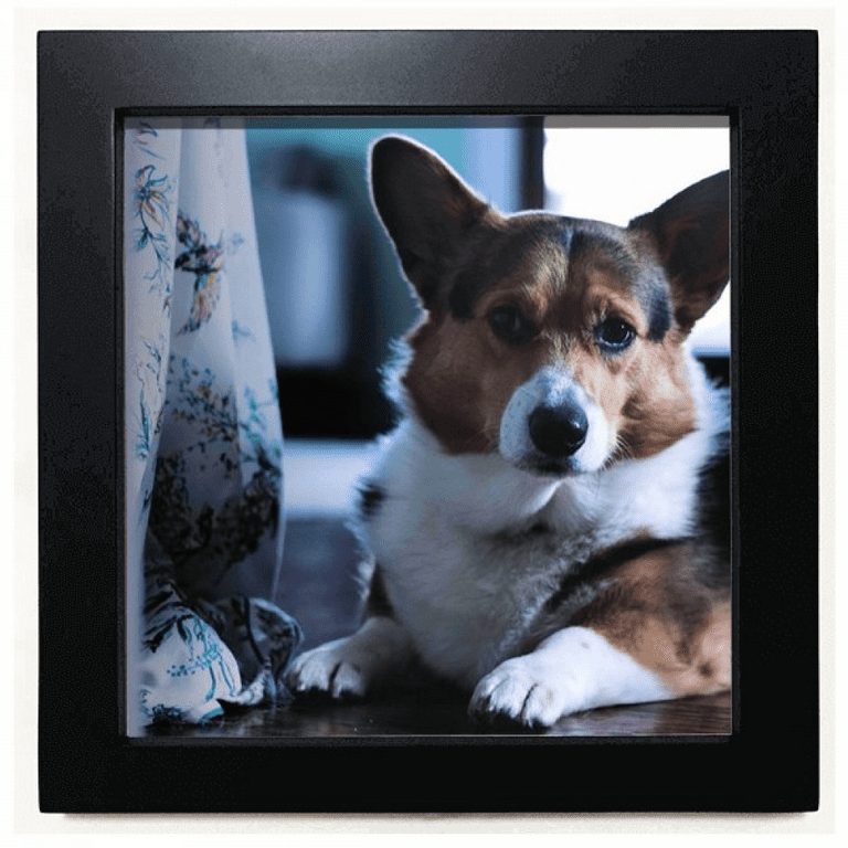Corgi picture sale frame