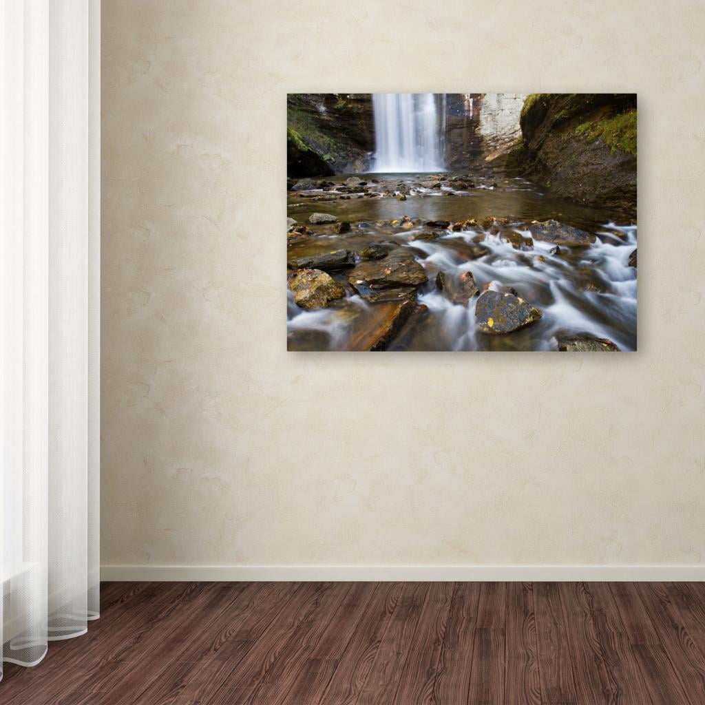 Trademark Fine Art "Looking Glass Falls" Canvas Art by Pierre Leclerc