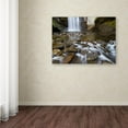 thumbnail image 4 of Trademark Fine Art "Looking Glass Falls" Canvas Art by Pierre Leclerc, 4 of 4