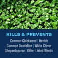 thumbnail image 2 of BioAdvanced 3-in-1 Weed & Feed for Southern Lawns Plus Insect Killer, 10lb, Granules, 2 of 6