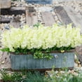 thumbnail image 4 of Sinhoon 6pcs Artificial Silk Flowers Hyacinth Floral Arrangements Outdoor Indoor Home Garden Hotel Wedding (White), 4 of 5