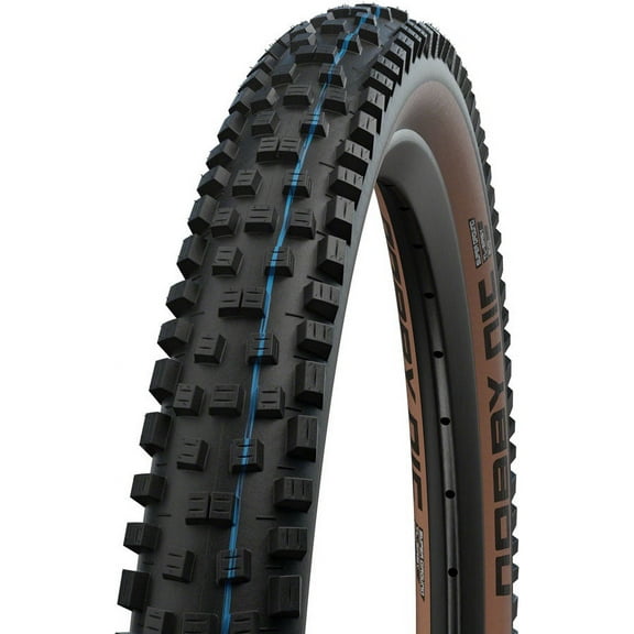 Schwalbe Nobby Nic Tire - 29 x 2.4, Tubeless, Folding, Black/Bronze, Evolution Line, Super Ground, Addix SpeedGrip