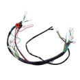 thumbnail image 1 of Motor Electrónico Iniciar El Arnés De Cableado Conjunto De Estator Del Mazo De Cables CDI, 1 of 7