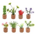thumbnail image 1 of Eigraketly Imanes de nevera de plantas, pegatina para refrigerador, decoración, imán para nevera, muebles para el hogar elegantes Artesanía 8 Uds., 1 of 6