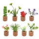 thumbnail image 1 of Speravity Imanes de nevera de plantas, decoración, imán para nevera, adhesivo para refrigerador, versátil Artesanía 8 Uds., 1 of 6