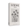 thumbnail image 3 of Agua De Loewe El 100Ml Edt Spray Loewe 100Ml, 3 of 3