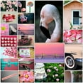 thumbnail image 2 of Peck, Gail 26x26 Gold Ornate Wood Framed with Double Matting Museum Art Print Titled - Pink Flamingo Collage, 2 of 4