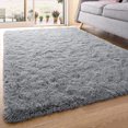 thumbnail image 1 of Fluffy Carpet for Bedroom, 4x6 Rug Soft Indoor Small Shag Area Rug, Machine Washable Rug for Living Room, Non Slip Gray Throw Rugs for Kids Room, Fuzzy Modern Home Decor, 1 of 5