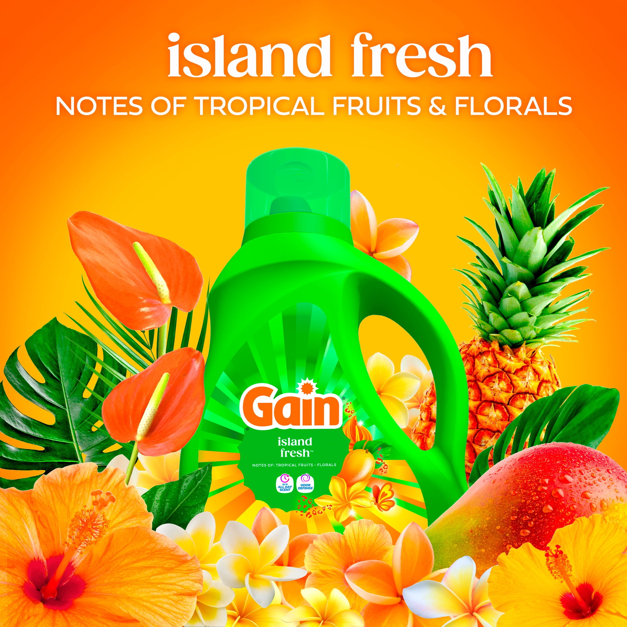 (2 pack) Gain Laundry Detergent Liquid, Now with Odor Defense, Island Fresh Scent, 81 fl oz, 61 Loads