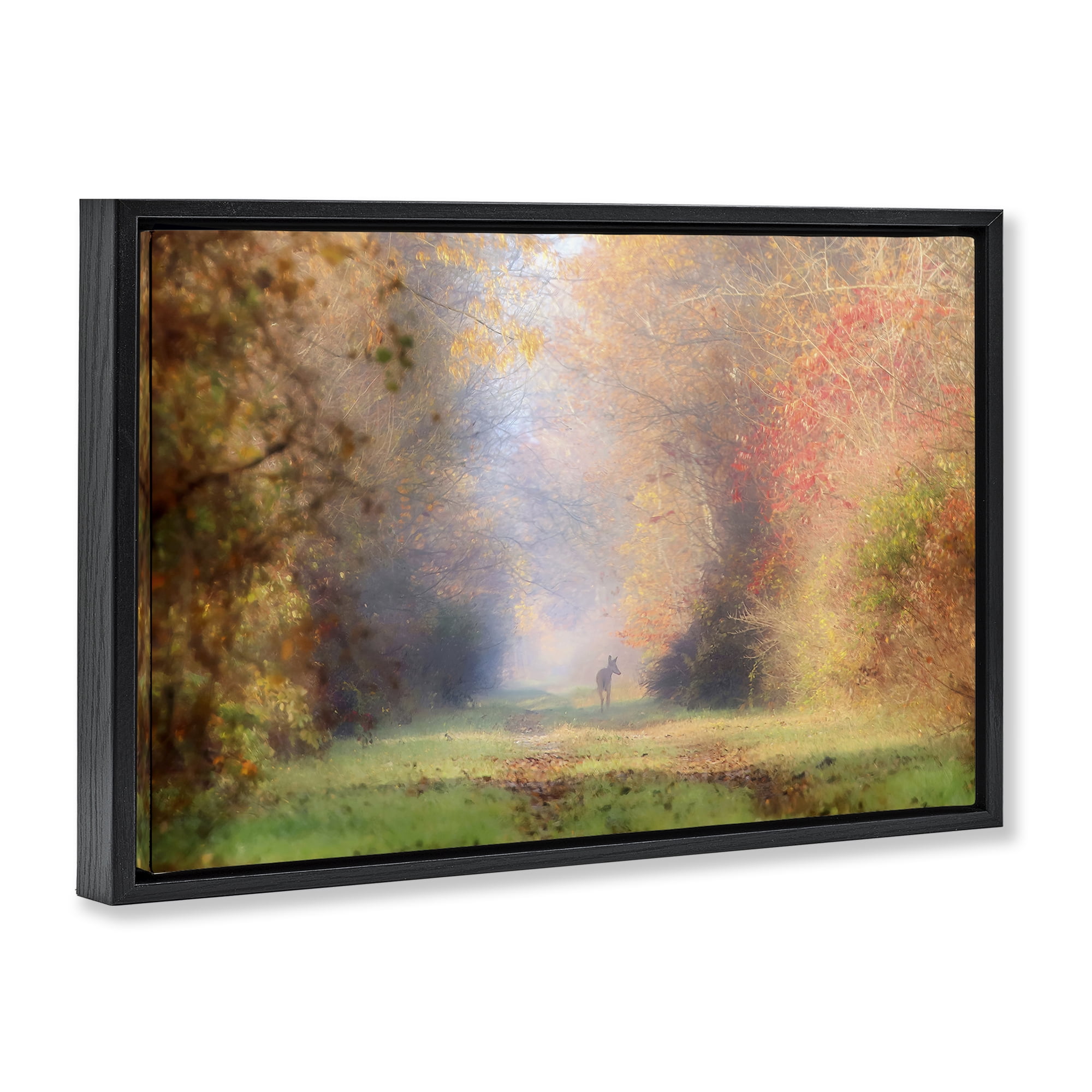 Stupell Industries Foggy Autumnal Forest Landscape & Nature Photography Black Floater Framed Canvas Art Print Wall Art, 31 x 21