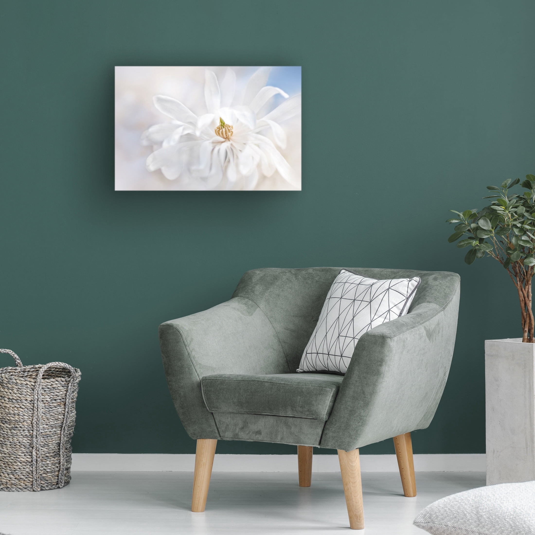 Canvas Wall Art - Jacky Parker 'Magnolia Stellarta' Wall Art for Living Room, Bedroom, or Office D?cor by Trademark Fine Art - 47 x 30 Inches