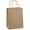 Brown, variant on Gift Bags 8x4.25x10.5 100Pcs Brown Paper Gift Bags with Handles Bulk for Wedding, Party Favor, Grocery, Shopping, Retail, Merchandise Medium Kraft Paper Sacks