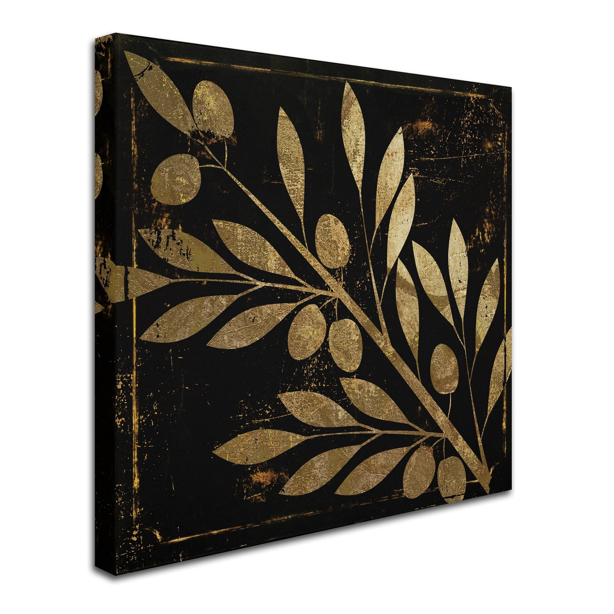 Trademark Fine Art "Bellissima I" Canvas Art by Color Bakery