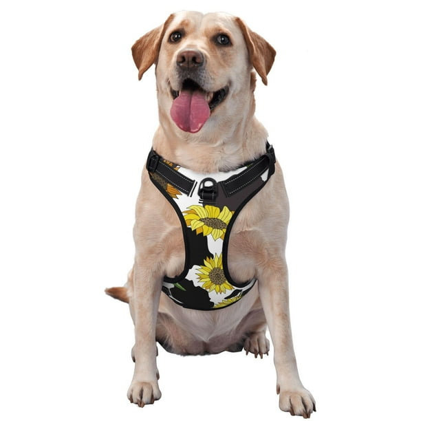Balery Sunflowers Country Arnés para Perros Grandes Antitirones, Arnés con Correa para Gato, Arnés Tipo Chaleco para Perros Pequeños-Small