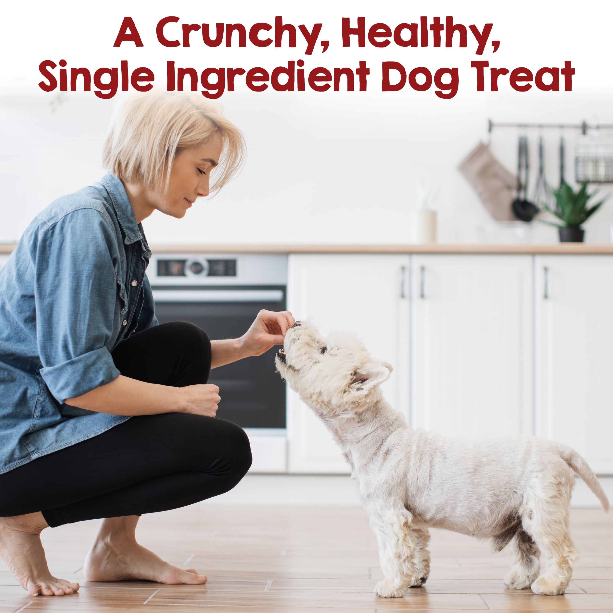 Riley's Chicken Waffle Chips Treats for Dogs, 6 oz Bag