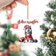 thumbnail image 2 of Hello Winter Alaskan Malamute Football Snowman Welcome Snowy Morning Acrylic Benelux Ornament Alaska Mal Dog Lovers Gifts Home Tree Decor - 01012, 2 of 4