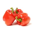 thumbnail image 5 of 150 Seeds Yolo Wonder Sweet RED BELL PEPPER Capiscum Annuum Vegetable Seeds, 5 of 9