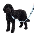 thumbnail image 1 of One Paw, Silicone Dog Leash with Wavy Lines Pattern and Padded Handle, 6 ft, 1 of 8