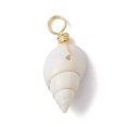 thumbnail image 3 of 100pcs Spiral Shell Pendants with Real 18K Gold Plated Copper Wire Loops Shell Charms White 22~25x8~10x7~9mm Hole: 3.8~4mm, 3 of 4
