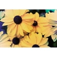 thumbnail image 3 of Johnson, Jason 18x13 Black Modern Framed Museum Art Print Titled - Susans I, 3 of 5
