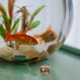 thumbnail image 4 of unbranded De Latón Dorado Para De Acuario Y Escritorio Estilo Feng Shui Con, 4 of 6