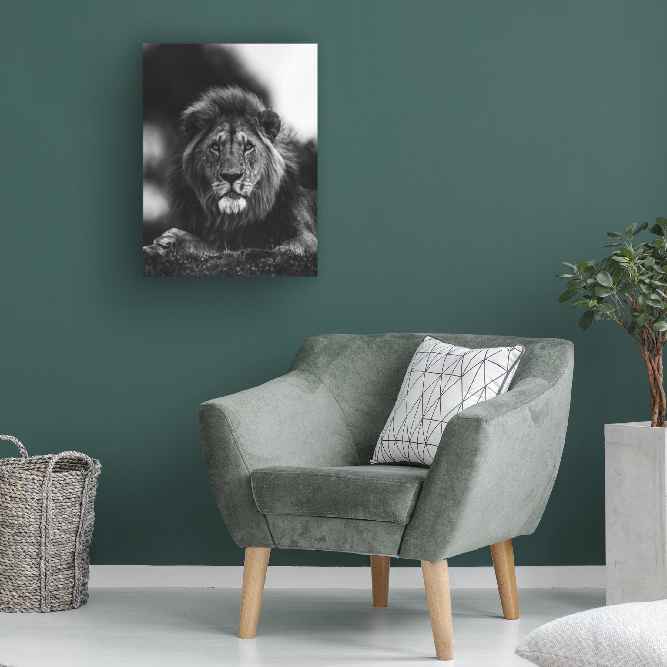 Trademark Fine Art Ahmed Sobhi Ready Canvas Wall Art
