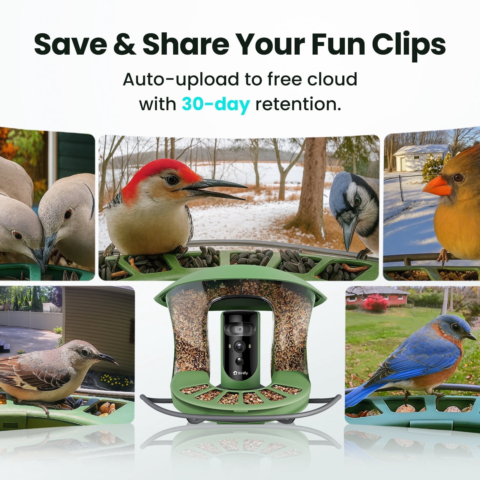 Birdfy Smart Bird Feeder with Camera, Dual-Lens, Solar-Powered, Auto-Capture Close-Ups & AI Identification with 99% Accuracy, Perfect Gift for Bird Lovers