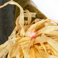 thumbnail image 4 of 72 in. Hanging Halloween Scarecrow, Sound Activated, 4 of 4