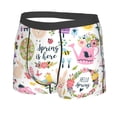 thumbnail image 2 of Balery Spring Hand Drawn Flowers Birds Men's Boxer Briefs, Soft and Breathable Cotton Underwear with nylon Waistband-XX-Large, 2 of 9