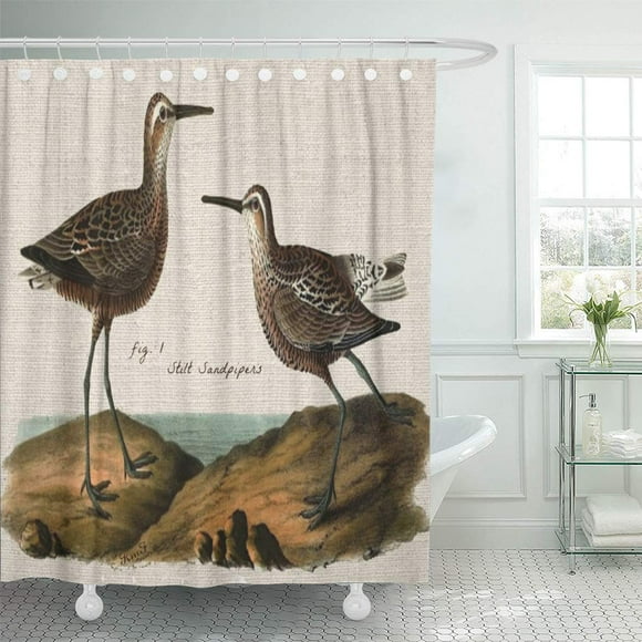 SUTTOM Bird Vintage Stilt Sandpipers Ocean Sea Beach Surf Shells Shower Curtain 60x72 inch