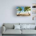 thumbnail image 4 of Trademark Fine Art Stefan Hefele Palmy Beach Canvas Wall Art, 4 of 4