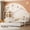 White+Solid Wood2, variant on HMYG Twin Wooden House Bed with Twin Trundle, Natural