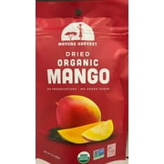 ORGANIC Dried Mango Fruit NON GMO - 2 oz Bag