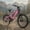 Pink, variant on RUNDEER All-Terrain Electric Bike, 500W Peak Motor, Internal Battery, 7 Speed, Dual Suspension, UL Certified, for Mountain, Road and Park, Red