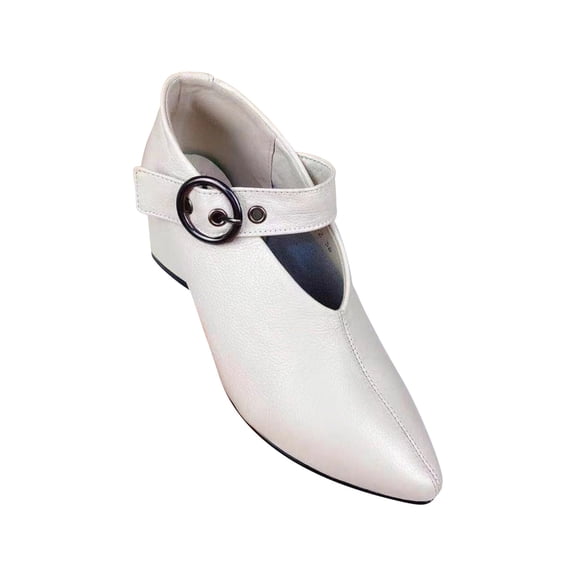 Womens Low Heels Dress Shoes Mary Jane Ankle Buckle Strap Party Wedding Elegant Shoes Women's Pointed Toe Loafers Shallow Mouth Casual Shoes