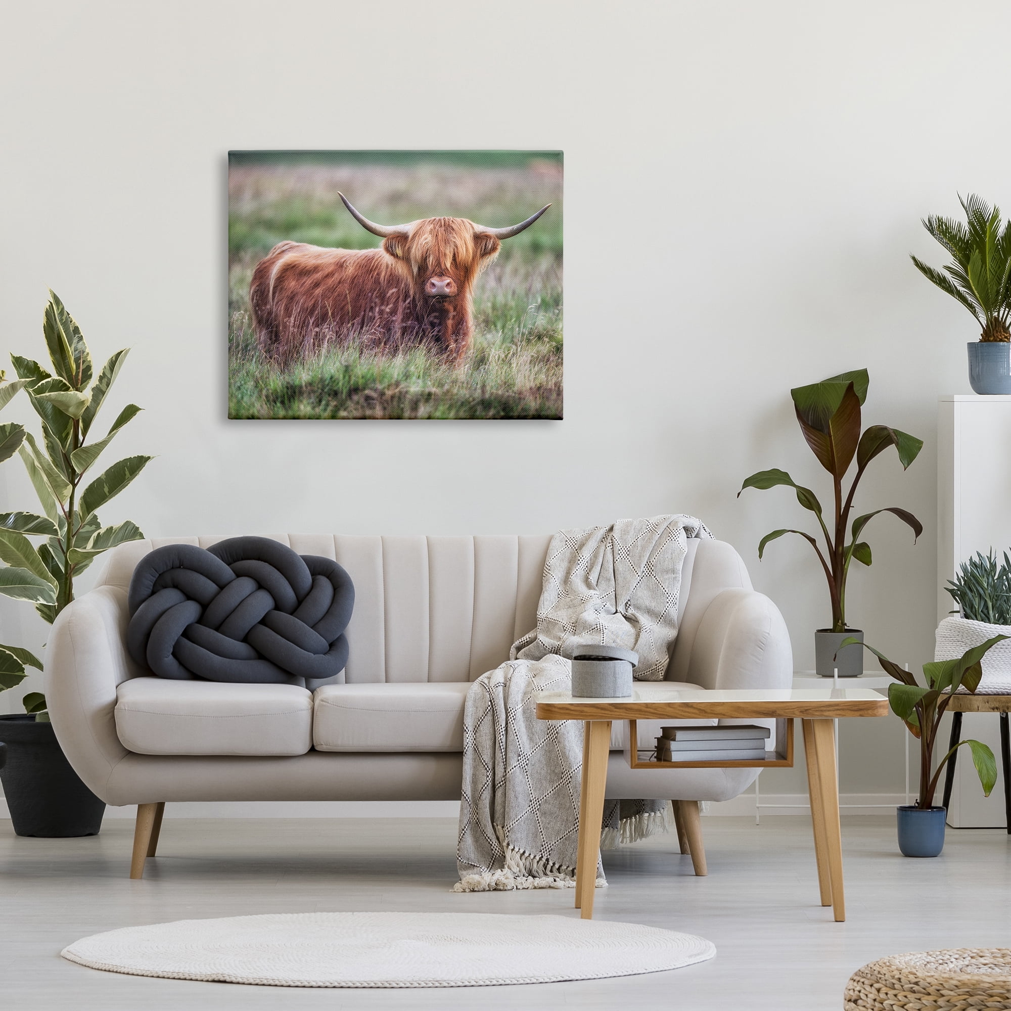 Stupell Industries Highland Longhorn Cattle Grazing Rural Countryside Grassland Photograph Gallery Wrapped Canvas Print Wall Art, Design by James Dobson