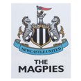 thumbnail image 1 of Newcastle United FC A3 Car Decal, 1 of 2