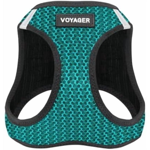 Voyager Step-in Air Dog Harness - All Weather Mesh Step in Vest Harness for Small and Medium Dogs and Cats - Harness (Turquoise 2-Tone), S (Chest: 14.5-16")