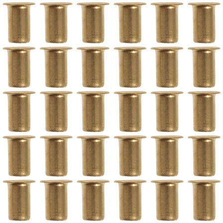 unbranded  30 Pcs Shelf Bracket Support Nails Cabinet Hardware