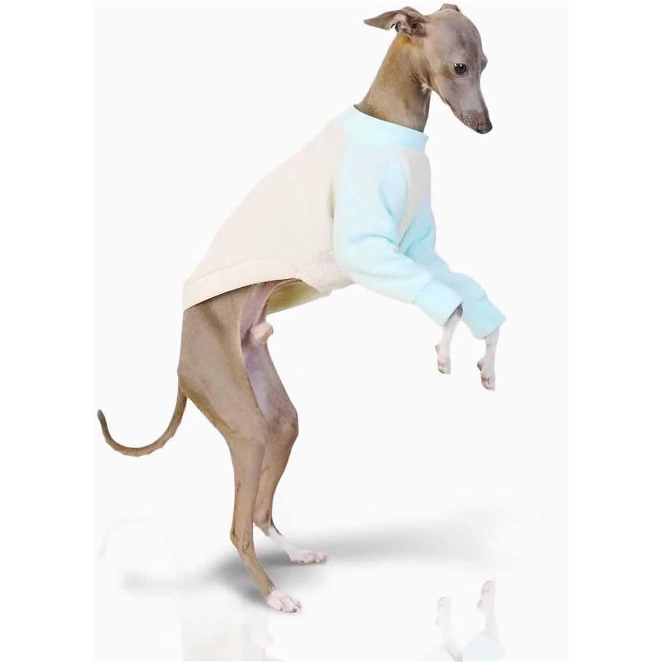 UOSIA Italian Greyhound Clothes Dog Denim Overalls Fashionable Puppy Jean Jacket