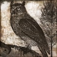 thumbnail image 2 of Sasha 12x12 Gold Ornate Wood Framed with Double Matting Museum Art Print Titled - Owl 2, 2 of 4