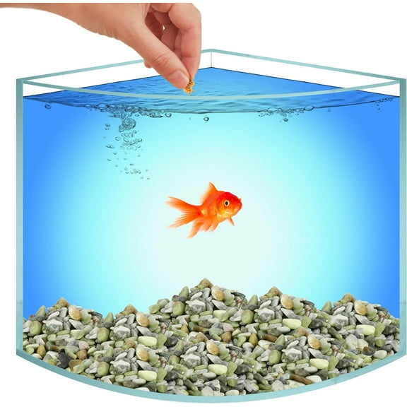 Skywin Corner Aquarium Small Fish Tank - 1.71 Gallon Acrylic Saltwater Fish Tank Aquarium for Real Life Fish, Aquariums & Fish Bowls