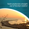 Agostino Recca Anchovies Fillets in Olive Oil Anchovy Fillets Rolled