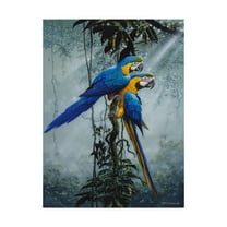 Trademark Fine Art 'Blue And Yellow Macaws 2' Canvas Art by Harro Maass