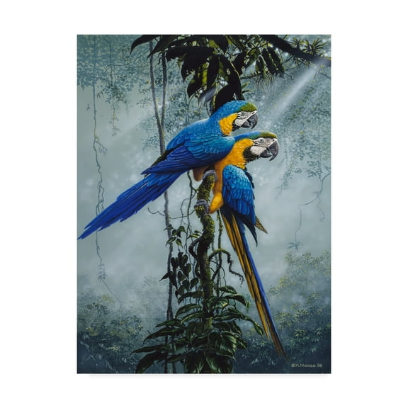 Trademark Fine Art 'Blue And Yellow Macaws 2' Canvas Art by Harro Maass