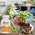 thumbnail image 5 of Rooting Powder #3 & Cubes for Cultivation Combo – Hydroponic Roots Growth & Propagation Kit, 5 of 7